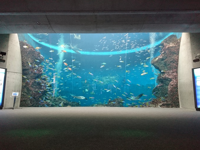 マザー牧場＆鴨川シーワールド