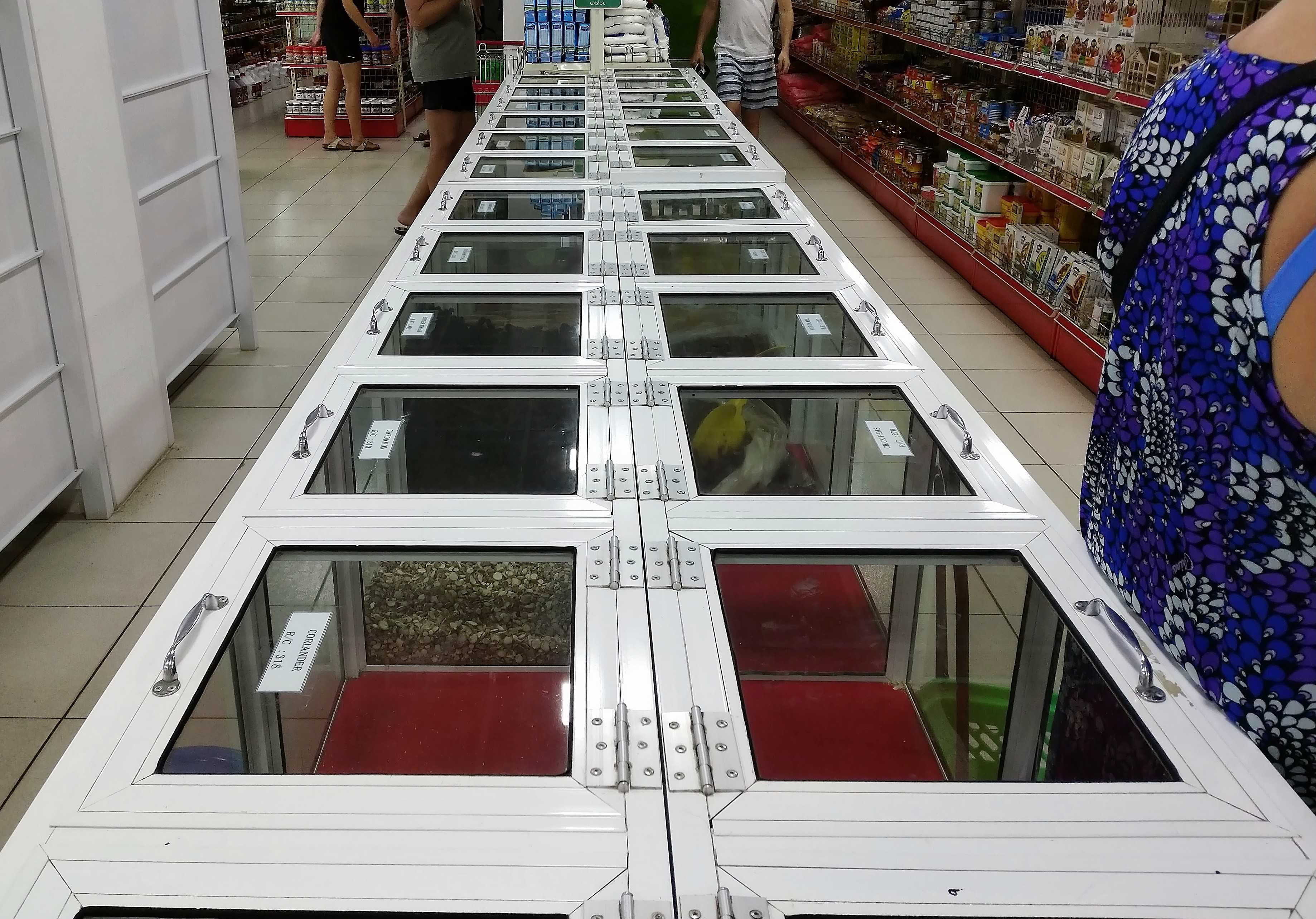 スリランカ ヒッカドゥワ