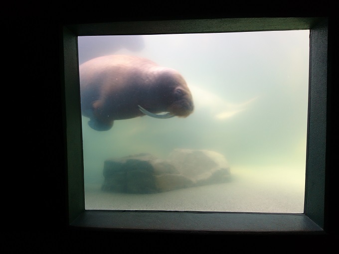 マザー牧場＆鴨川シーワールド