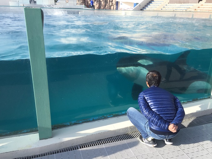 マザー牧場＆鴨川シーワールド