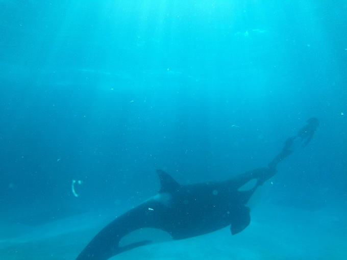 マザー牧場＆鴨川シーワールド