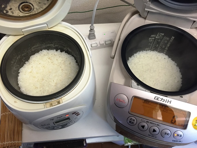 鉄器コートプラチナ厚釜 NP-BE10