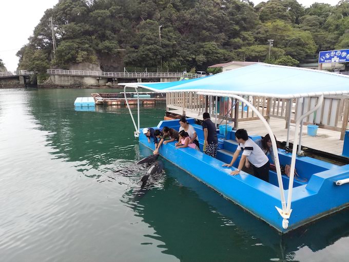 下田海中水族館