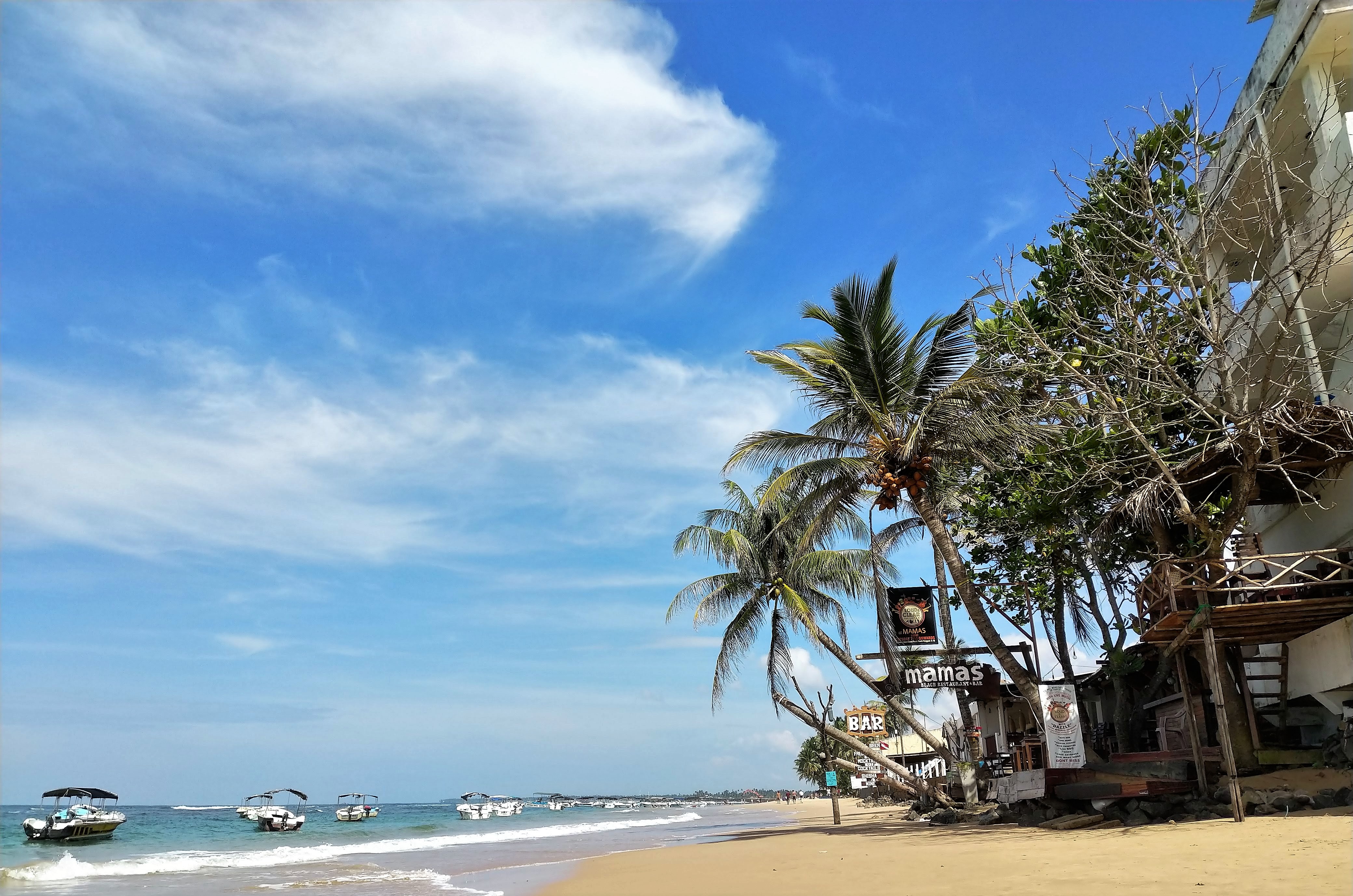 スリランカ ヒッカドゥワ