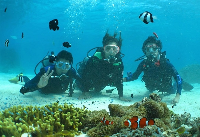 与論島 ダイビング