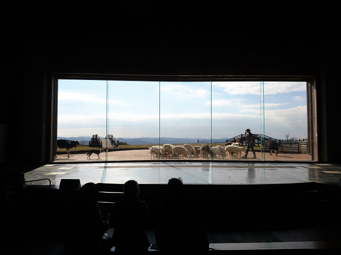 マザー牧場＆鴨川シーワールド