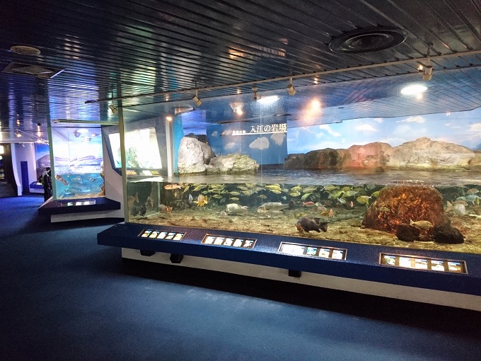 マザー牧場＆鴨川シーワールド