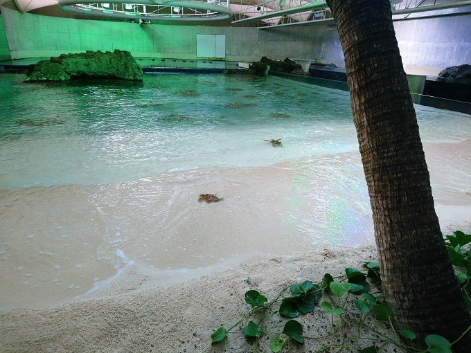 マザー牧場＆鴨川シーワールド