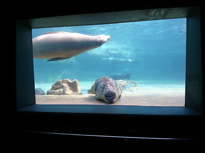 マザー牧場＆鴨川シーワールド